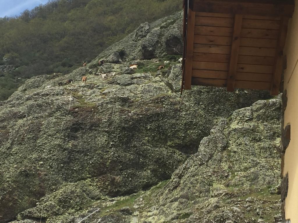 El Invernal De Picos Portilla de la Reina Eksteriør billede