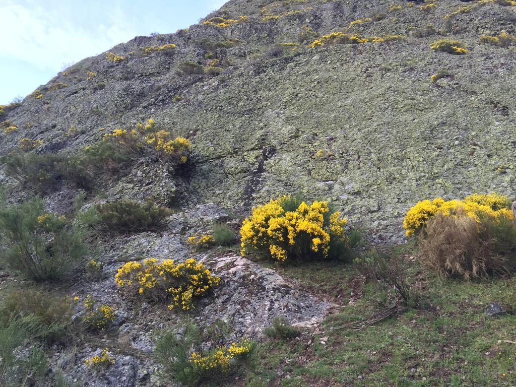 El Invernal De Picos Portilla de la Reina Eksteriør billede