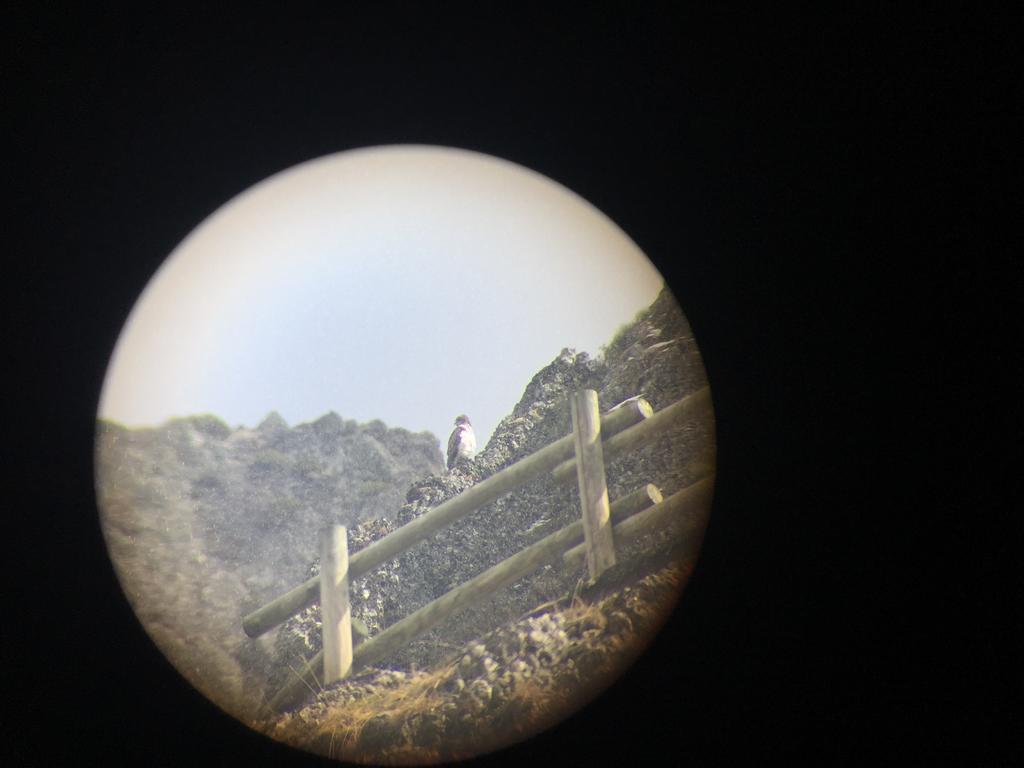 El Invernal De Picos Portilla de la Reina Eksteriør billede
